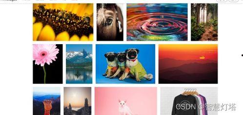 爆料情感短视频素材,一场视觉与心灵的碰撞